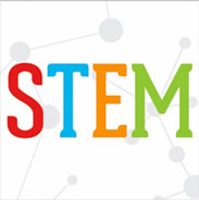 stem scopes